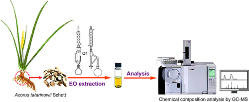 machine work of naural oil
